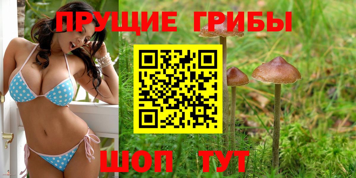 Cocaine Новоалтайск