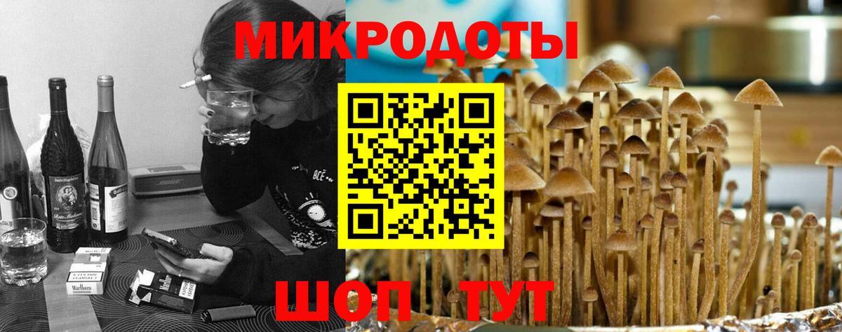 Псилоцибиновые грибы мицелий Новоалтайск