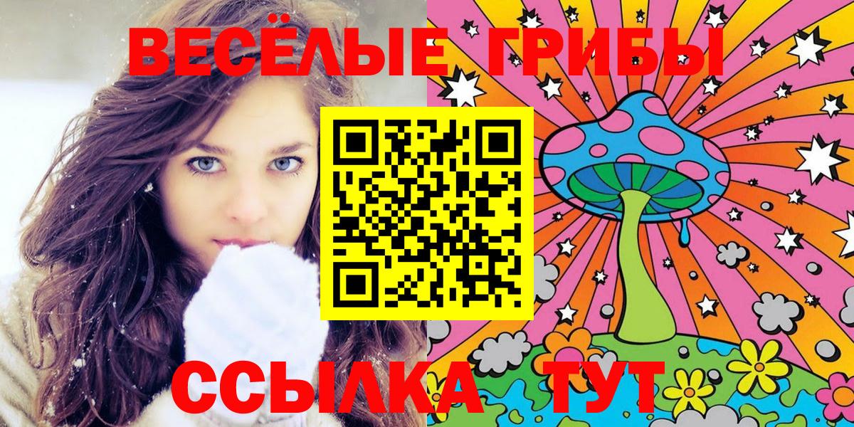 Галлюциногенные грибы GOLDEN TEACHER  Галлюциногенные грибы ЛСД  Новоалтайск  Вход с VPN 